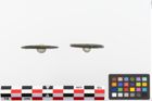 Foto von Bronzering (NHMW-PRAE-023871)